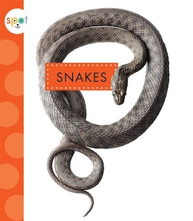 Front cover_Snakes