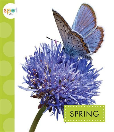 Front cover_Spring