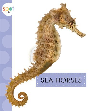 Front cover_Sea Horses