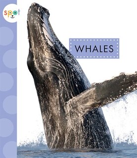 Front cover_Whales