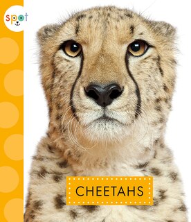 Front cover_Cheetahs