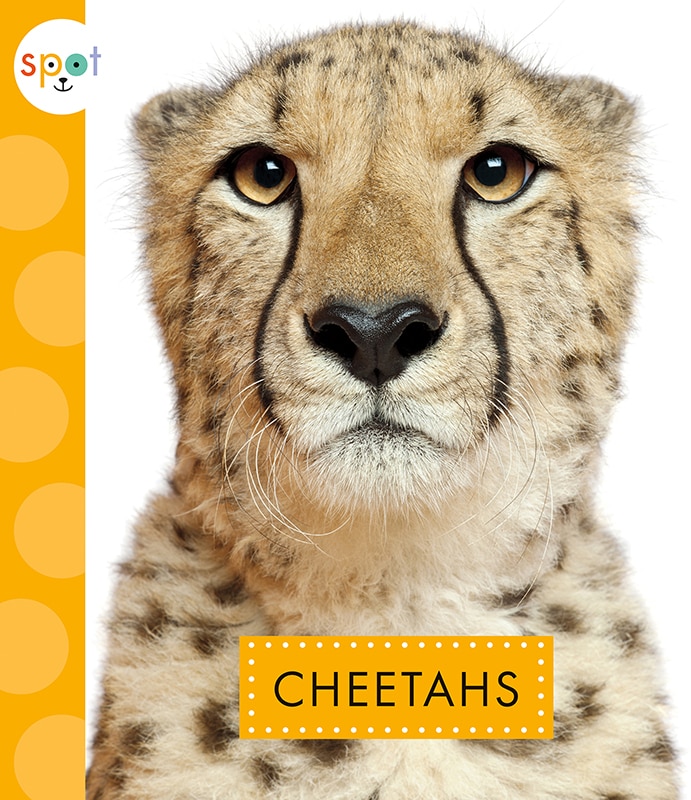 Front cover_Cheetahs