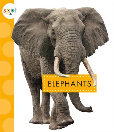 Front cover_Elephants