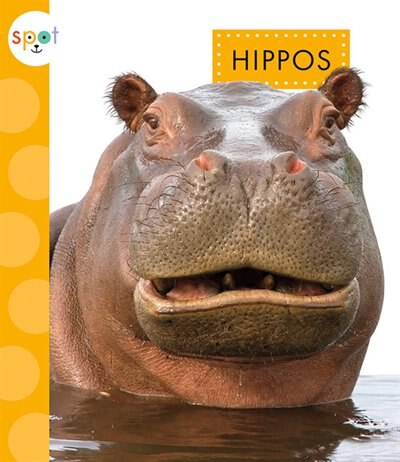 Front cover_Hippos