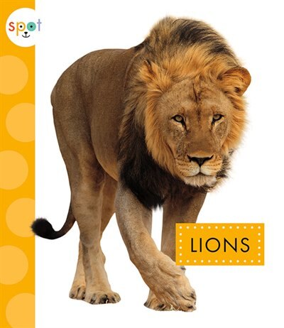 Front cover_Lions