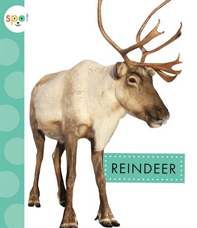 Front cover_Reindeer