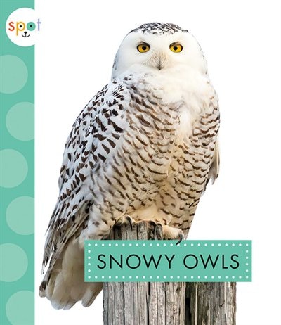 Front cover_Snowy Owls