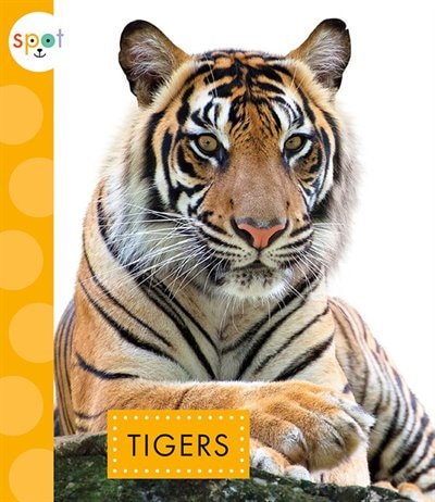 Front cover_Tigers