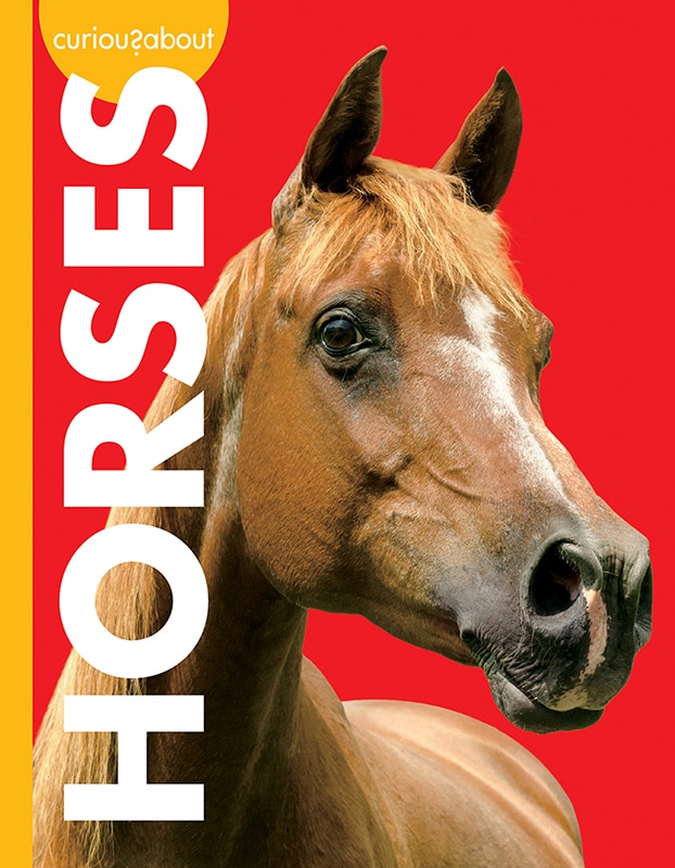 Front cover_Curious About Horses