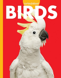 Couverture_Curious About Birds