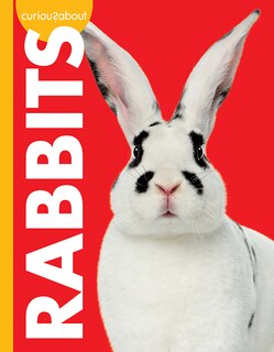 Couverture_Curious About Rabbits