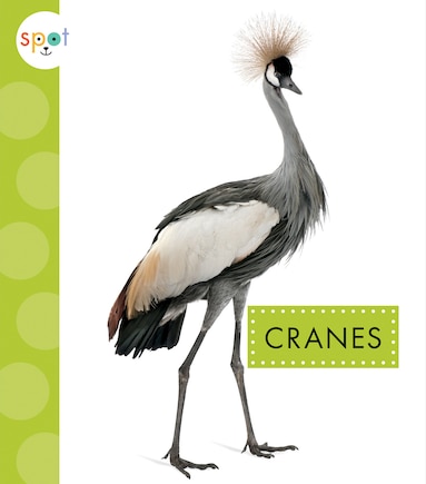 Cranes