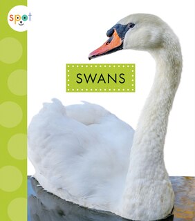 Couverture_Swans