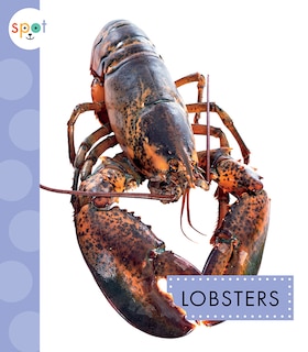 Front cover_Lobsters