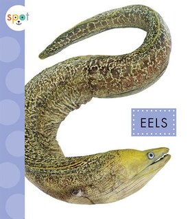 Front cover_Eels