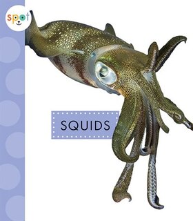 Couverture_Squids