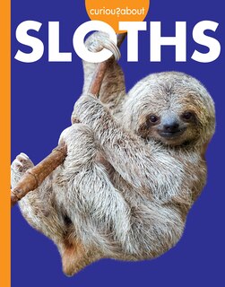 Couverture_Curious about Sloths