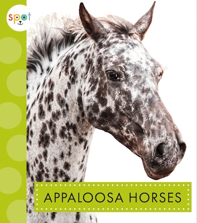 Appaloosa Horses: Spot Horses: Appaloosa Horses