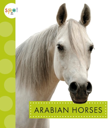 Arabian Horses: Spot Horses: Arabian Horses