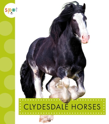 Clydesdale Horses: Spot Horses: Clydesdale Horses