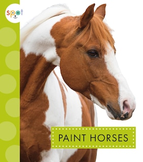 Couverture_Paint Horses