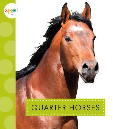 Quarter Horses: Spot Horses: Quarter Horses