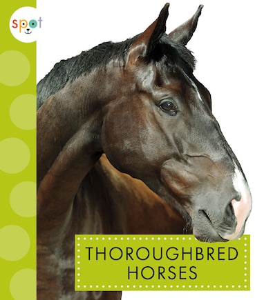 Thoroughbred Horses: Spot Horses: Thoroughbred Horses