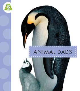 Front cover_Animal Dads