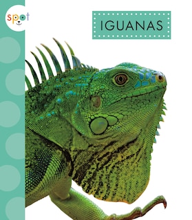 Couverture_Iguanas