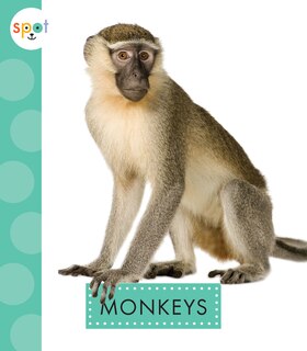 Couverture_Monkeys