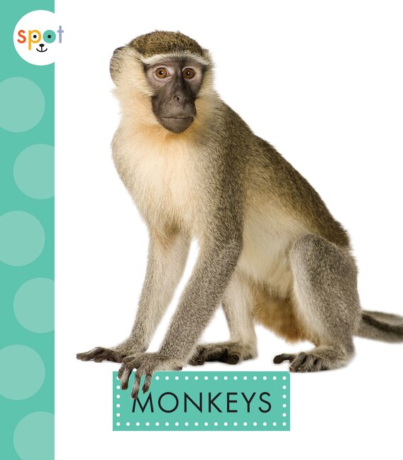 Couverture_Monkeys