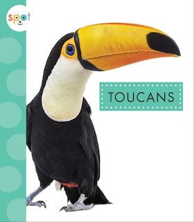 Couverture_Toucans