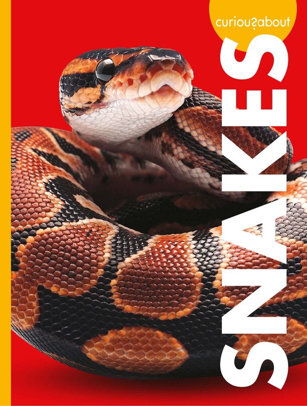 Front cover_Curious about Snakes
