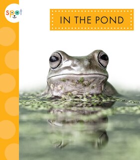 Front cover_In the Pond