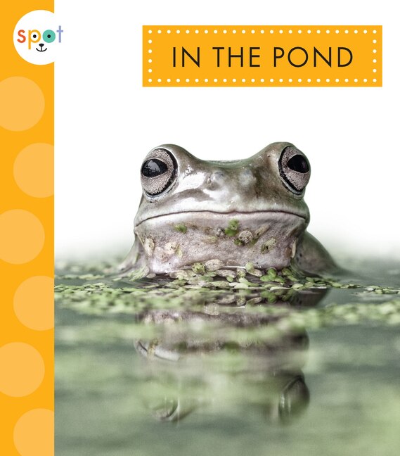 Front cover_In the Pond