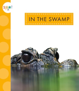 Front cover_In the Swamp