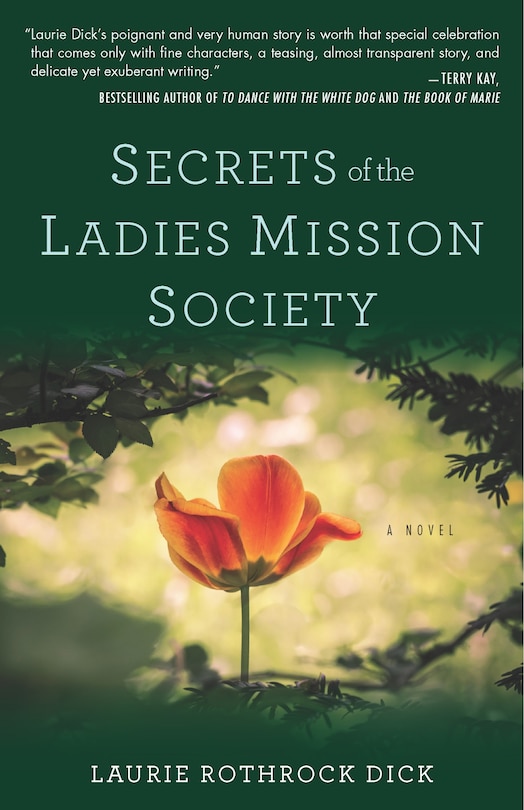 Front cover_Secrets Of The Ladies Mission Society