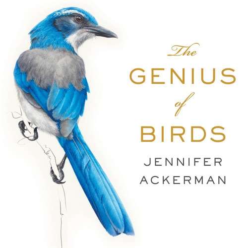 Couverture_The Genius of Birds