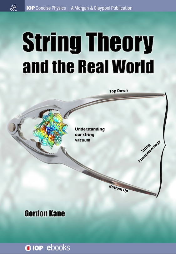 Couverture_String Theory and the Real World