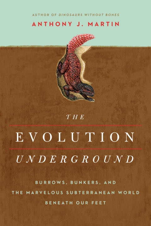 Couverture_The Evolution Underground