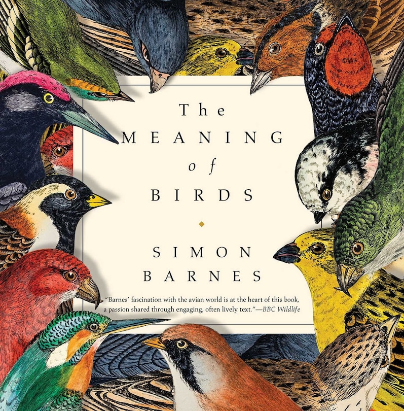 Couverture_The Meaning of Birds