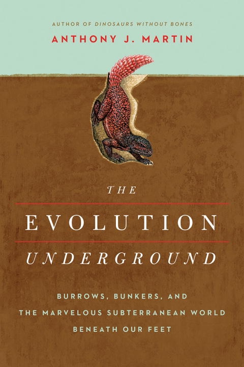 Couverture_The Evolution Underground