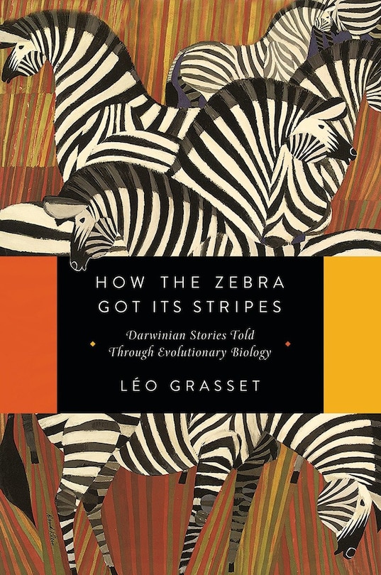 Front cover_How the Zebra Got Its Stripes
