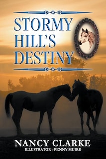 Couverture_Stormy Hill's Destiny