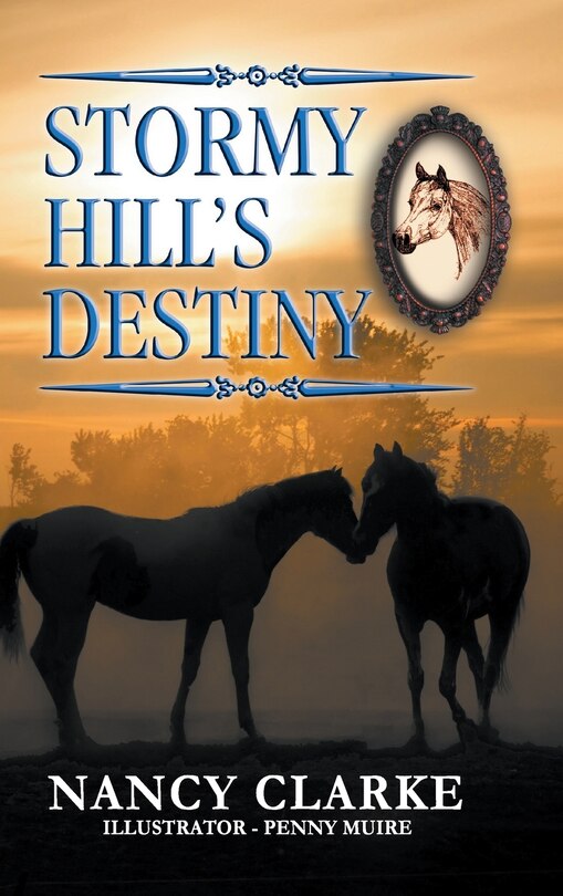 Couverture_Stormy Hill's Destiny