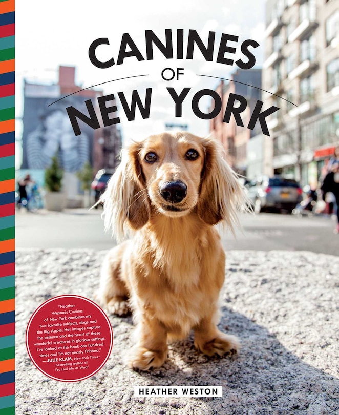 Front cover_Canines of New York