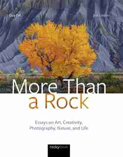 More Than A Rock, 2nd Edition: Essays On Art, Creativity, Photography, Nature, And Life by Guy Tal