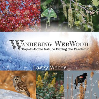 Couverture_Wandering Webwood