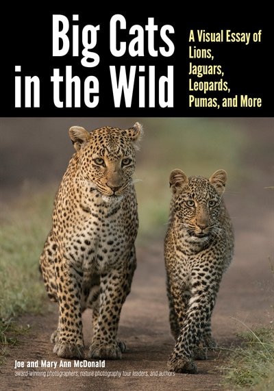 Front cover_Big Cats In The Wild