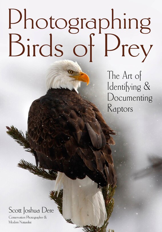 Front cover_Photographing Birds Of Prey